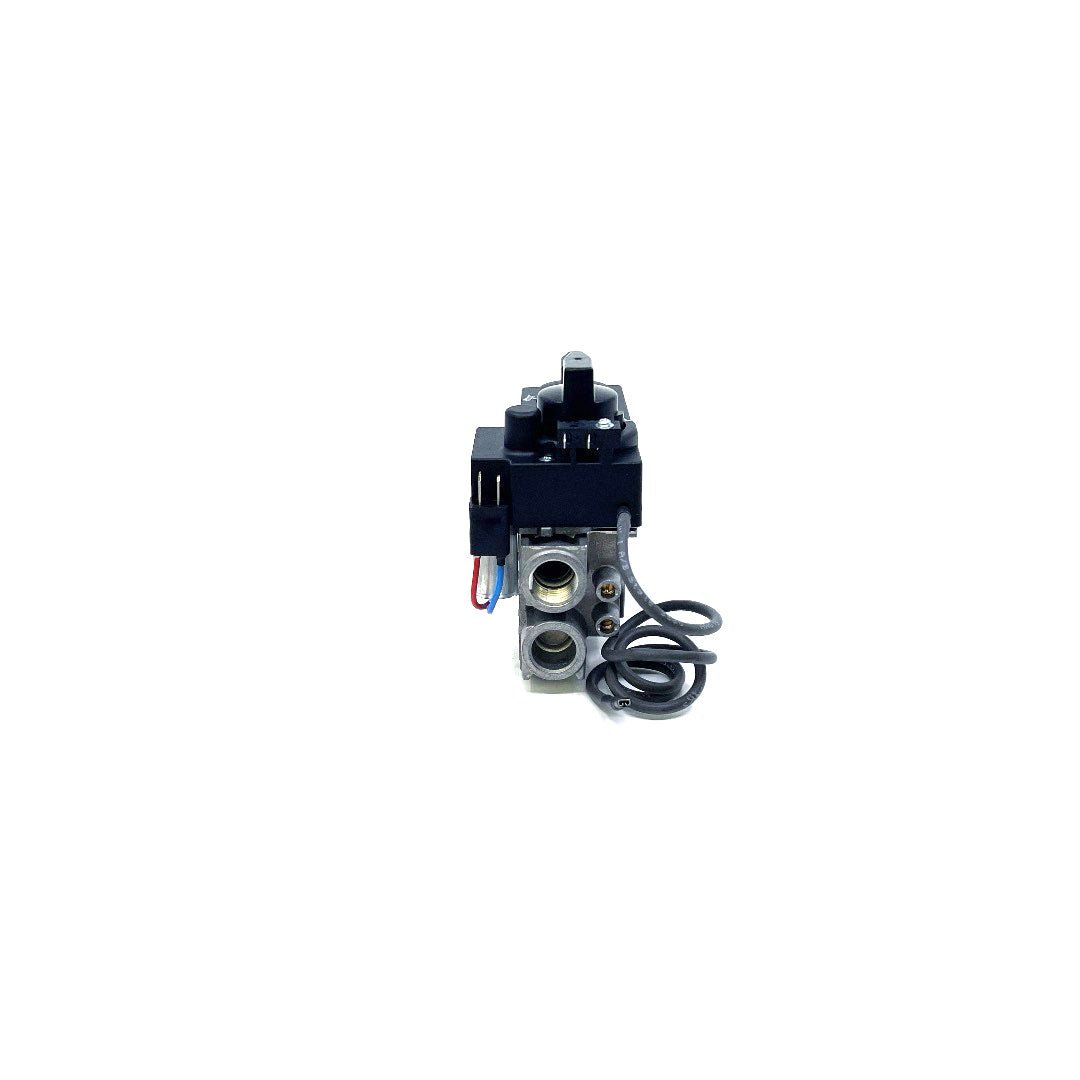 530/534 GV34 Valve Assembly - 4000251 Natural Gas - Fire-Parts.ca