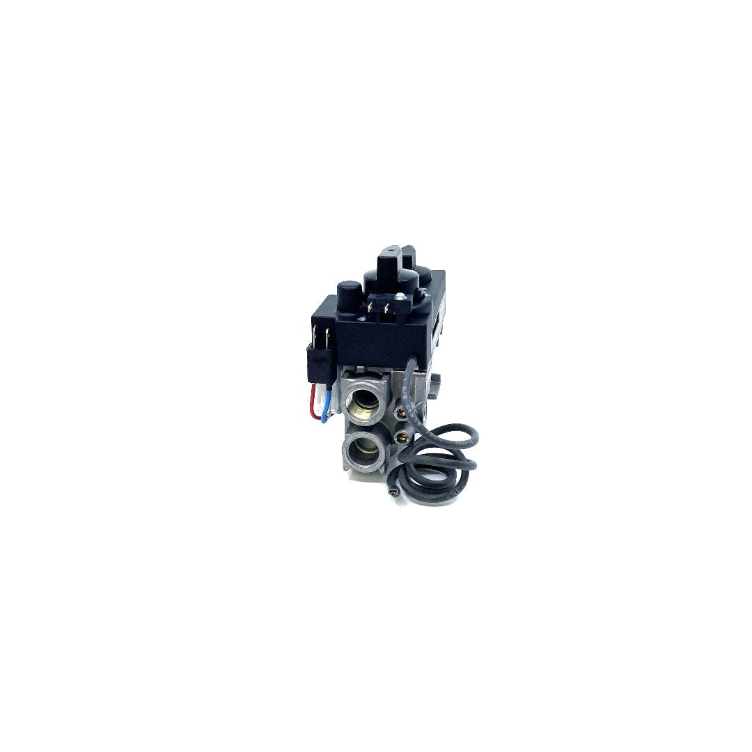 530/534 GV34 Valve Assembly - 4000251 Natural Gas - Fire-Parts.ca