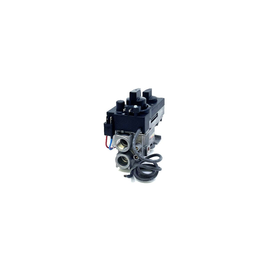 530/534 GV34 Valve Assembly - 4000251 Natural Gas - Fire-Parts.ca