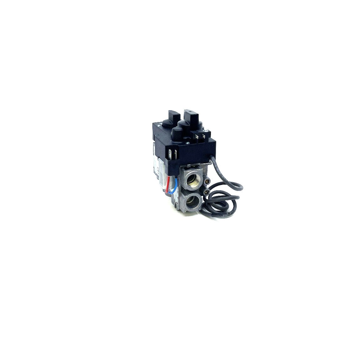 530/534 GV34 Valve Assembly - 4000251 Natural Gas - Fire-Parts.ca