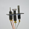 PSE Top Mount Flat Two way Pilot Assembly Natural Gas Top Convertible - Fire - Parts.ca