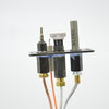 PSE Top Mount Flat Two way Pilot Assembly Natural Gas Top Convertible - Fire - Parts.ca