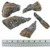 5 Piece Decorative CF Woodbit Kit