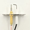 N010-0910 Electrode Assembly