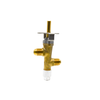 Gas Valve #1